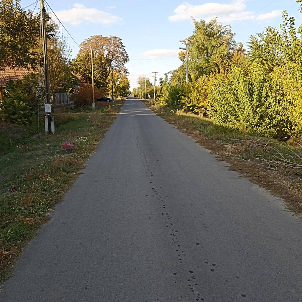 2025 Kiss 01 2025 Kiss 01