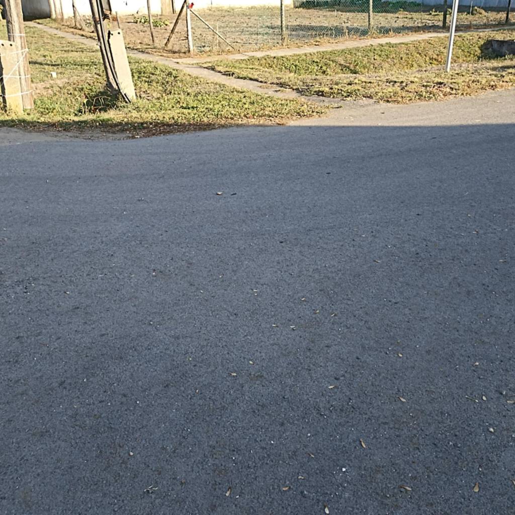 2025 Kiss 02 2025 Kiss 02