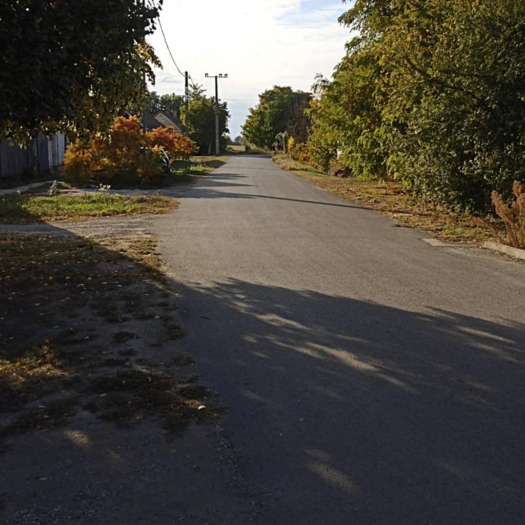 2025 Kiss 08 2025 Kiss 08