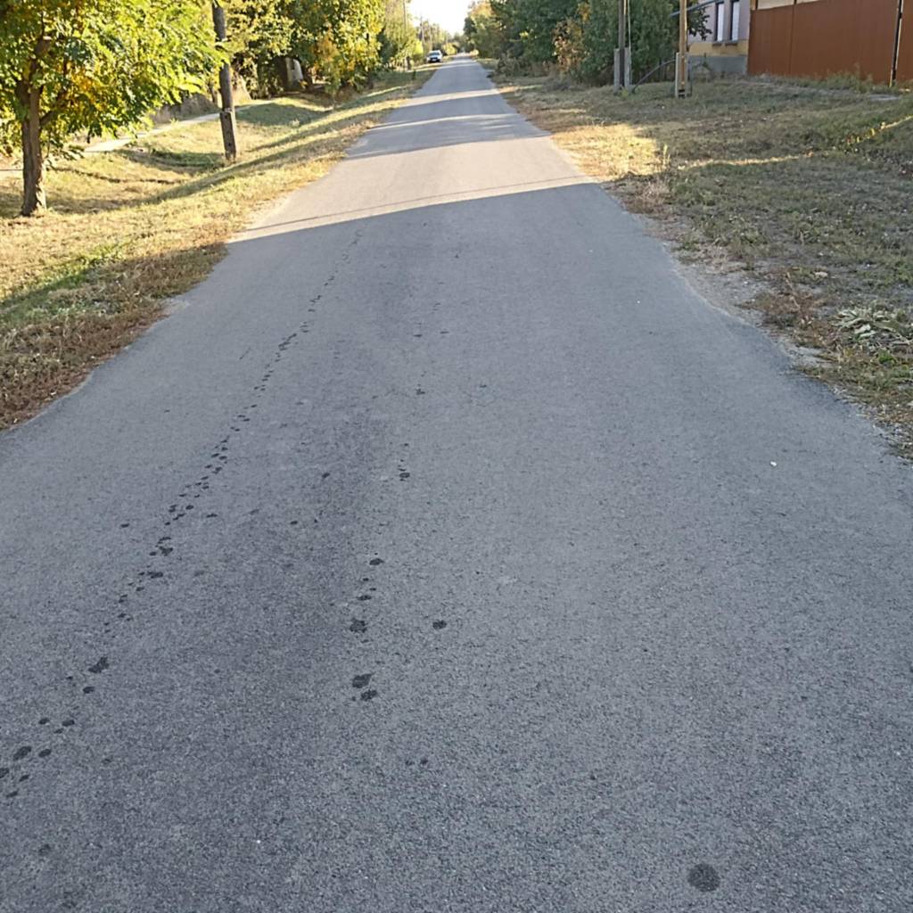 2025 Kiss 09 2025 Kiss 09